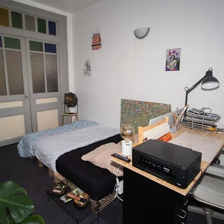 Apartment Atypical Flat In Lille Lille